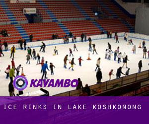 Ice Rinks in Lake Koshkonong
