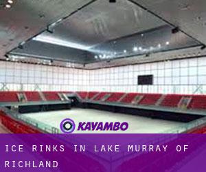 Ice Rinks in Lake Murray of Richland