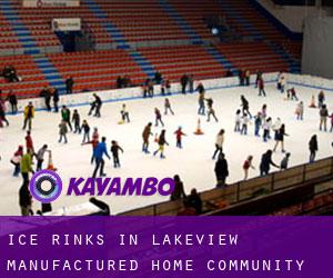 Ice Rinks in Lakeview Manufactured Home Community