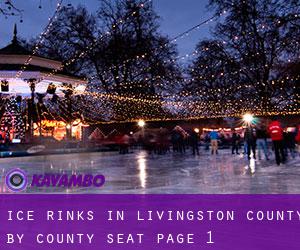 Ice Rinks in Livingston County by county seat - page 1