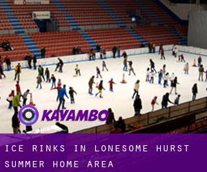 Ice Rinks in Lonesome Hurst Summer Home Area