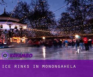 Ice Rinks in Monongahela