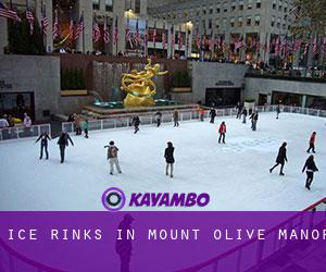 Ice Rinks in Mount Olive Manor