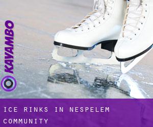 Ice Rinks in Nespelem Community