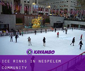 Ice Rinks in Nespelem Community