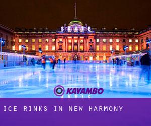 Ice Rinks in New Harmony