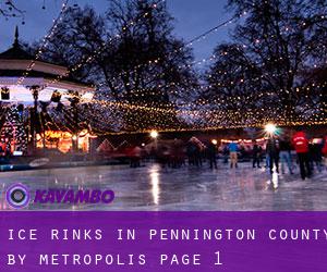 Ice Rinks in Pennington County by metropolis - page 1