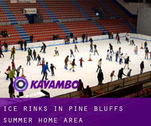 Ice Rinks in Pine Bluffs Summer Home Area