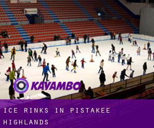 Ice Rinks in Pistakee Highlands