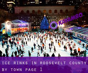 Ice Rinks in Roosevelt County by town - page 1