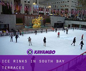 Ice Rinks in South Bay Terraces