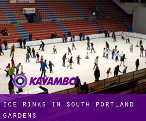 Ice Rinks in South Portland Gardens