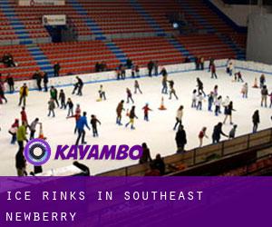 Ice Rinks in Southeast Newberry