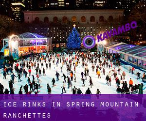 Ice Rinks in Spring Mountain Ranchettes