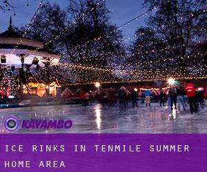 Ice Rinks in Tenmile Summer Home Area