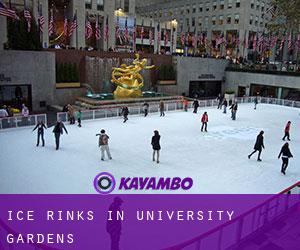 Ice Rinks in University Gardens