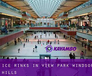 Ice Rinks in View Park-Windsor Hills