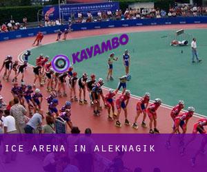 Ice Arena in Aleknagik