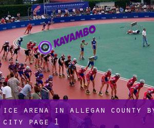 Ice Arena in Allegan County by city - page 1