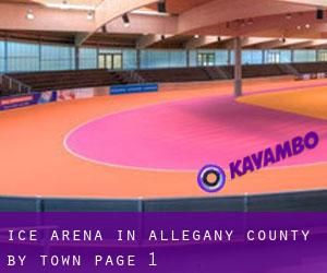 Ice Arena in Allegany County by town - page 1
