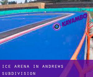 Ice Arena in Andrews Subdivision