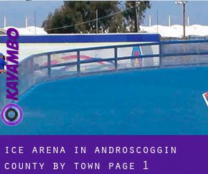 Ice Arena in Androscoggin County by town - page 1