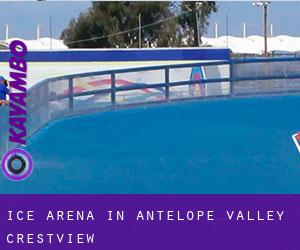 Ice Arena in Antelope Valley-Crestview
