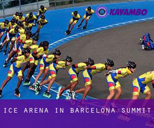 Ice Arena in Barcelona Summit