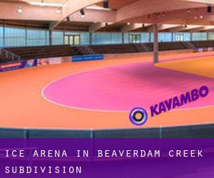 Ice Arena in Beaverdam Creek Subdivision