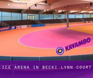 Ice Arena in Becki Lynn Court
