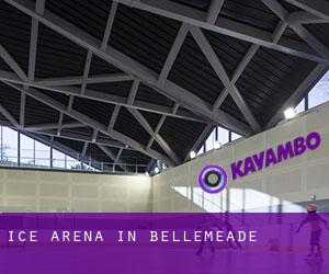 Ice Arena in Bellemeade