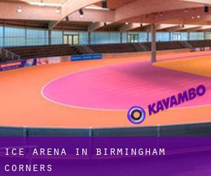 Ice Arena in Birmingham Corners