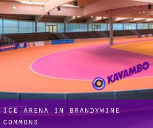 Ice Arena in Brandywine Commons