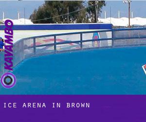 Ice Arena in Brown