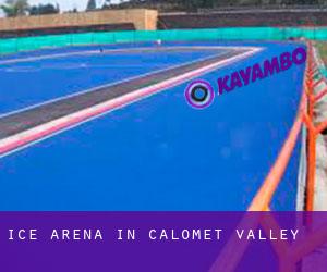 Ice Arena in Calomet Valley