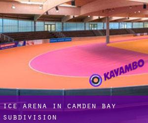 Ice Arena in Camden Bay Subdivision