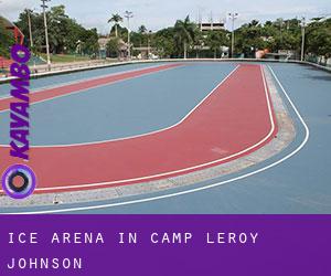 Ice Arena in Camp Leroy Johnson