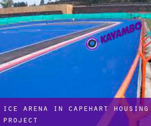 Ice Arena in Capehart Housing Project