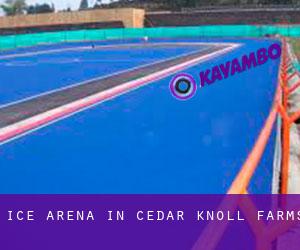 Ice Arena in Cedar Knoll Farms
