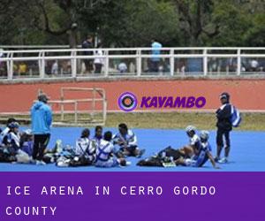 Ice Arena in Cerro Gordo County
