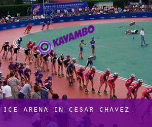 Ice Arena in César Chávez