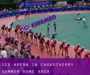 Ice Arena in Chokecherry Summer Home Area
