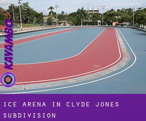 Ice Arena in Clyde Jones Subdivision