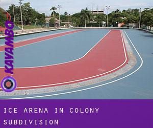 Ice Arena in Colony Subdivision