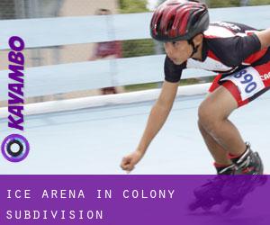 Ice Arena in Colony Subdivision