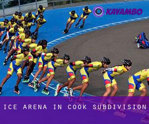 Ice Arena in Cook Subdivision