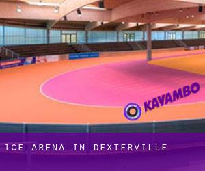 Ice Arena in Dexterville