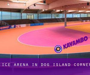 Ice Arena in Dog Island Corner