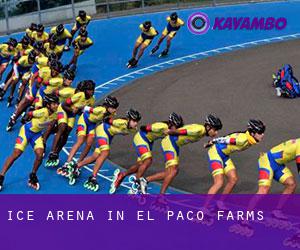 Ice Arena in El Paco Farms