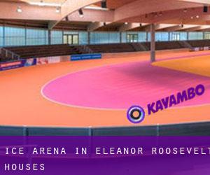 Ice Arena in Eleanor Roosevelt Houses